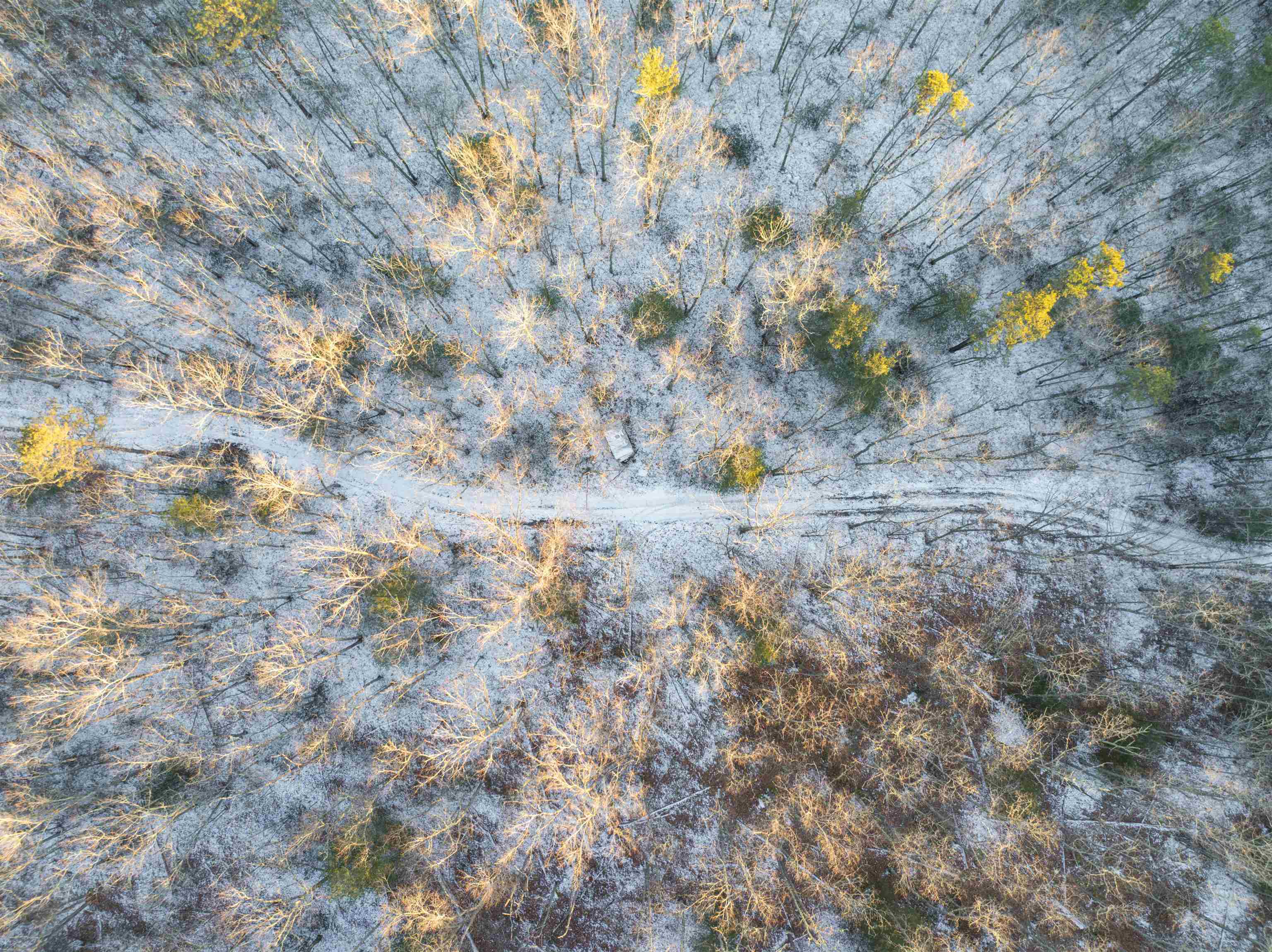 TBD WHIPPOORWILL LN, MONTEREY, Virginia 24465, ,Land,TBD WHIPPOORWILL LN,672142 MLS # 672142 TBD WHIPPOORWILL LN, MONTEREY, Virginia 24465, ,Land,TBD WHIPPOORWILL LN,672142 MLS # 672142