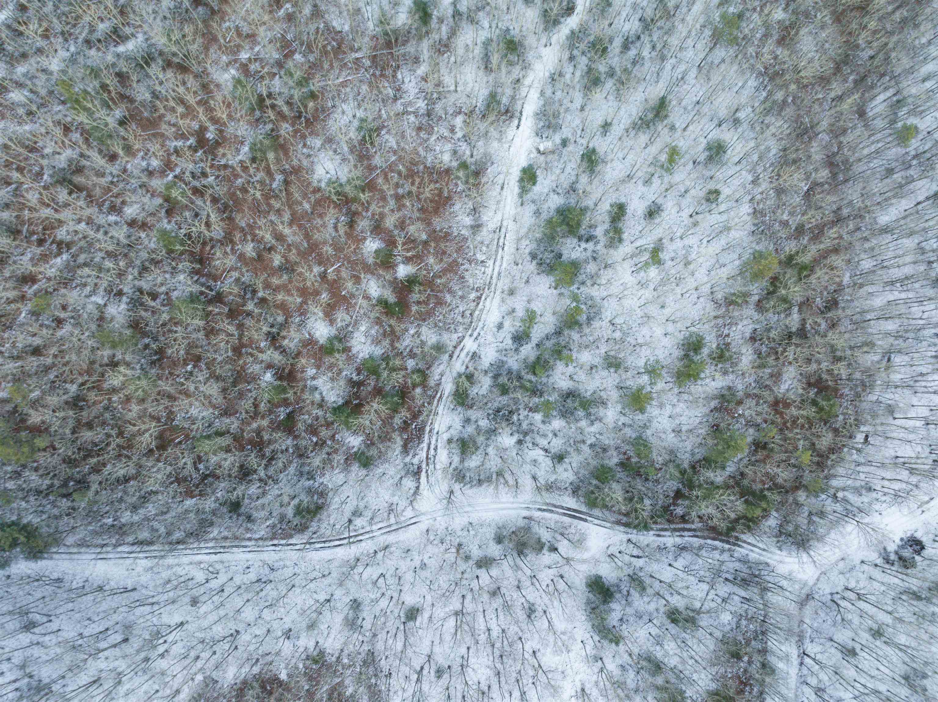 TBD WHIPPOORWILL LN, MONTEREY, Virginia 24465, ,Land,TBD WHIPPOORWILL LN,672142 MLS # 672142 TBD WHIPPOORWILL LN, MONTEREY, Virginia 24465, ,Land,TBD WHIPPOORWILL LN,672142 MLS # 672142