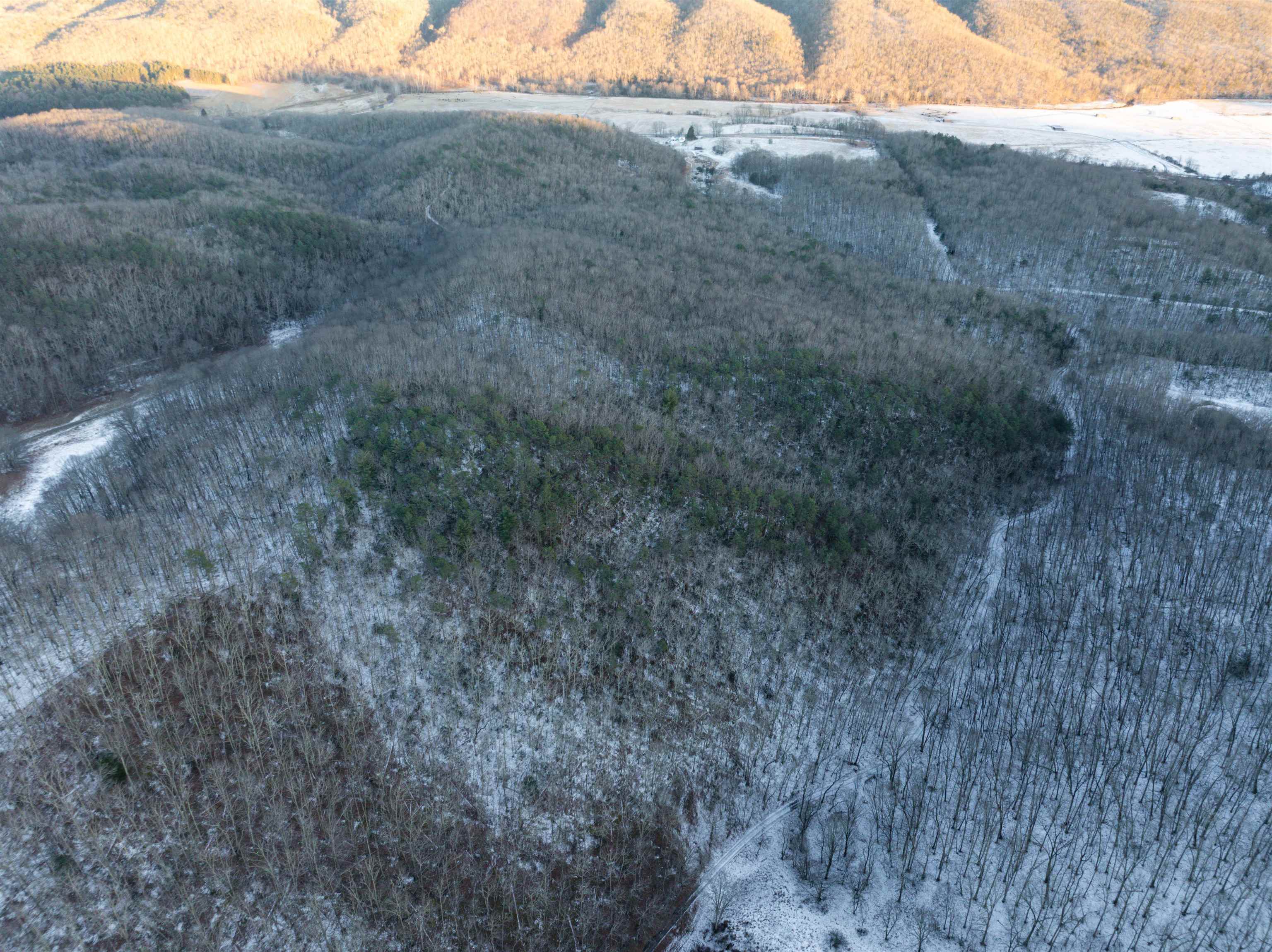 TBD WHIPPOORWILL LN, MONTEREY, Virginia 24465, ,Land,TBD WHIPPOORWILL LN,672142 MLS # 672142 TBD WHIPPOORWILL LN, MONTEREY, Virginia 24465, ,Land,TBD WHIPPOORWILL LN,672142 MLS # 672142