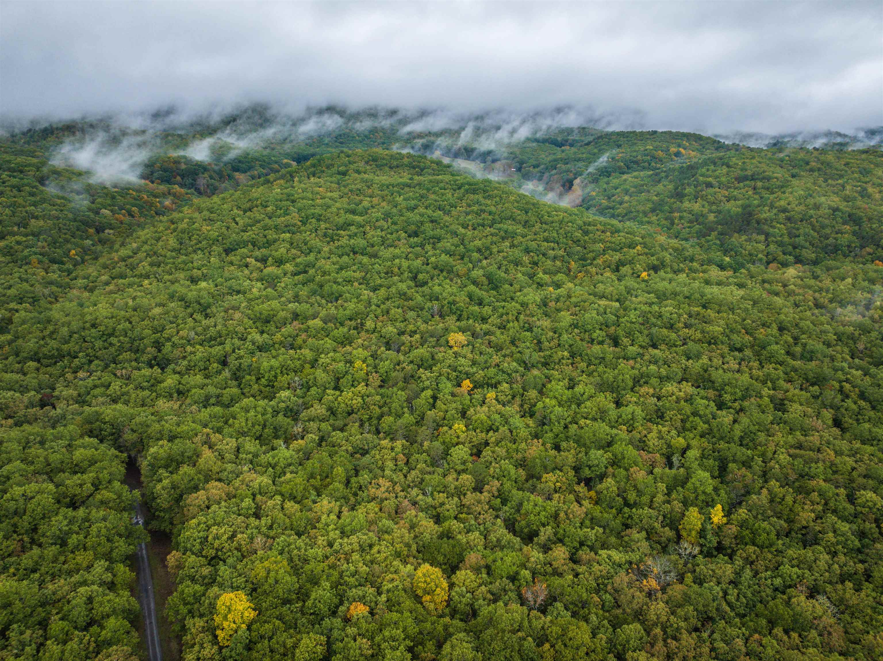 TBD WHIPPOORWILL LN, MONTEREY, Virginia 24465, ,Land,TBD WHIPPOORWILL LN,672142 MLS # 672142 TBD WHIPPOORWILL LN, MONTEREY, Virginia 24465, ,Land,TBD WHIPPOORWILL LN,672142 MLS # 672142