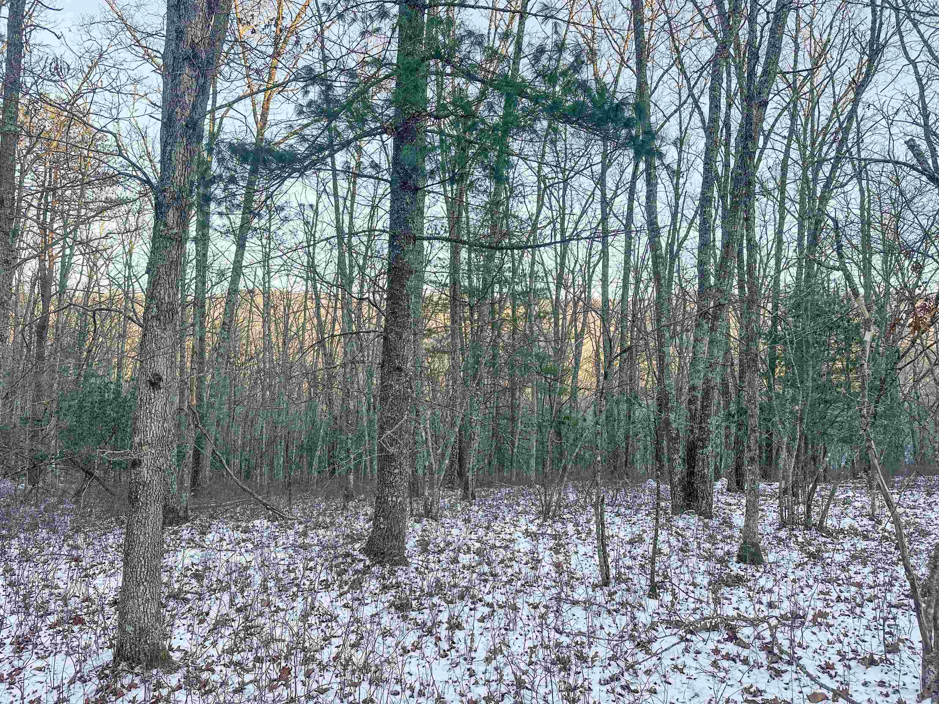 TBD WHIPPOORWILL LN, MONTEREY, Virginia 24465, ,Land,TBD WHIPPOORWILL LN,672142 MLS # 672142 TBD WHIPPOORWILL LN, MONTEREY, Virginia 24465, ,Land,TBD WHIPPOORWILL LN,672142 MLS # 672142