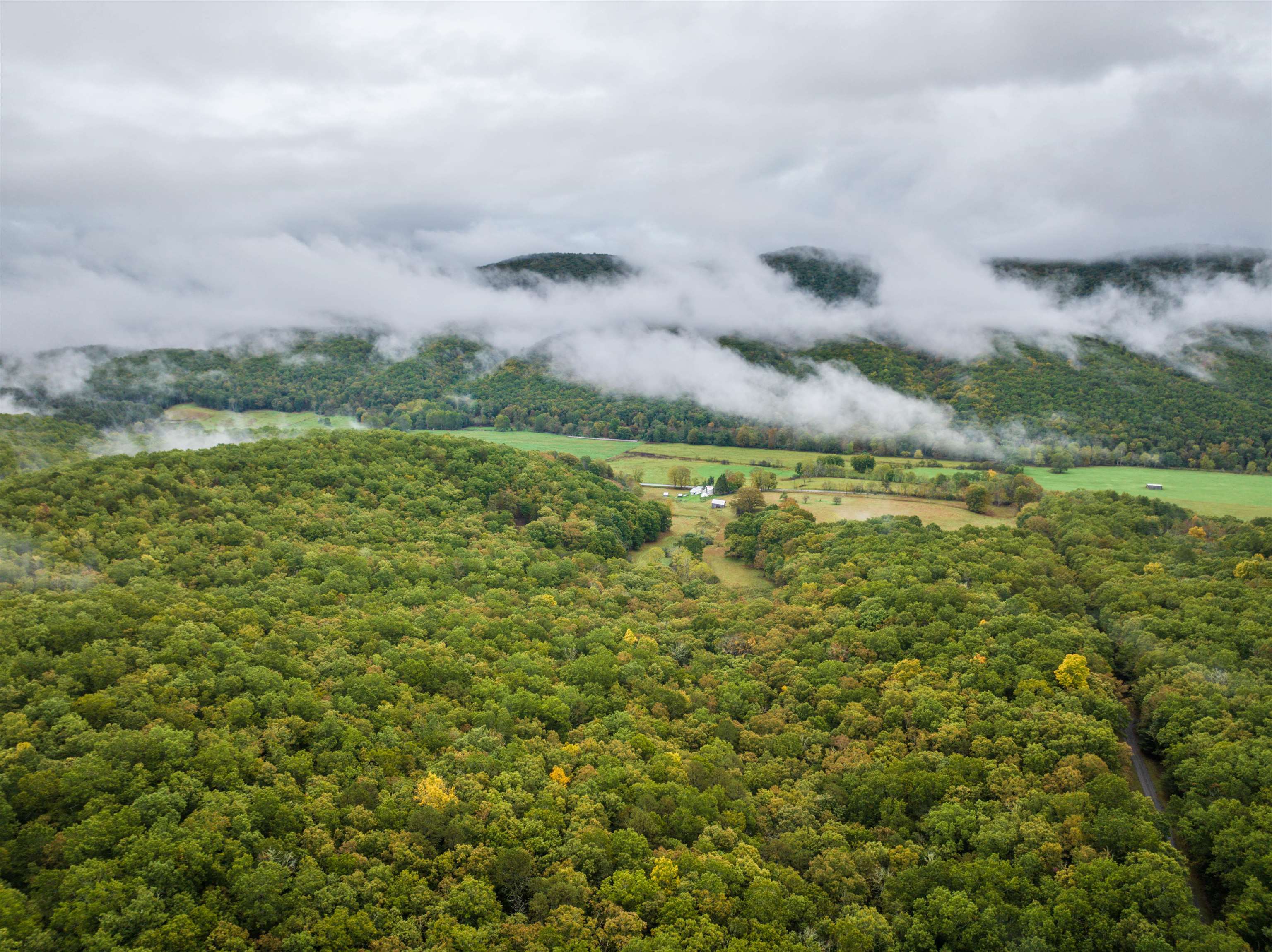 TBD WHIPPOORWILL LN, MONTEREY, Virginia 24465, ,Land,TBD WHIPPOORWILL LN,672142 MLS # 672142 TBD WHIPPOORWILL LN, MONTEREY, Virginia 24465, ,Land,TBD WHIPPOORWILL LN,672142 MLS # 672142