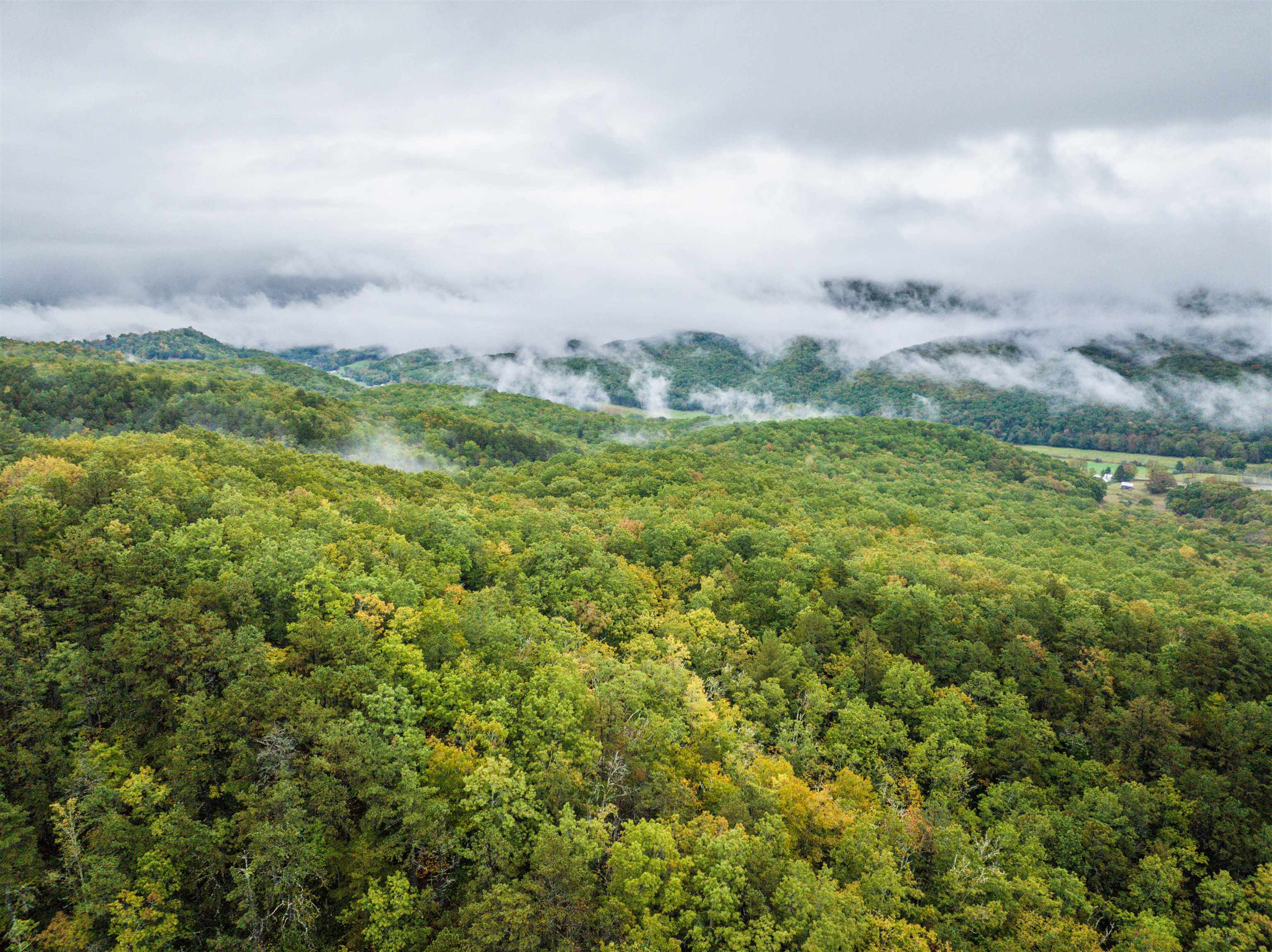 TBD WHIPPOORWILL LN, MONTEREY, Virginia 24465, ,Land,TBD WHIPPOORWILL LN,672142 MLS # 672142 TBD WHIPPOORWILL LN, MONTEREY, Virginia 24465, ,Land,TBD WHIPPOORWILL LN,672142 MLS # 672142