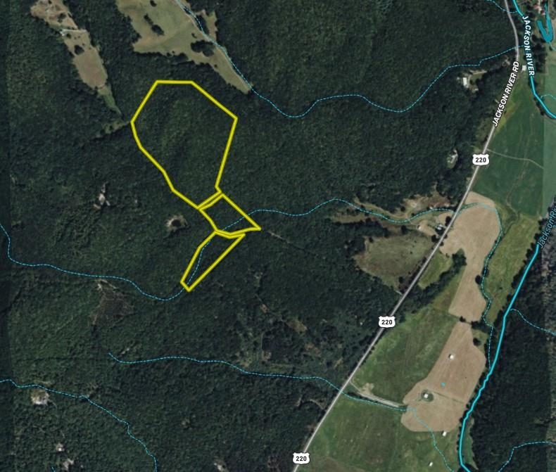 TBD WHIPPOORWILL LN, MONTEREY, Virginia 24465, ,Land,TBD WHIPPOORWILL LN,672142 MLS # 672142 TBD WHIPPOORWILL LN, MONTEREY, Virginia 24465, ,Land,TBD WHIPPOORWILL LN,672142 MLS # 672142