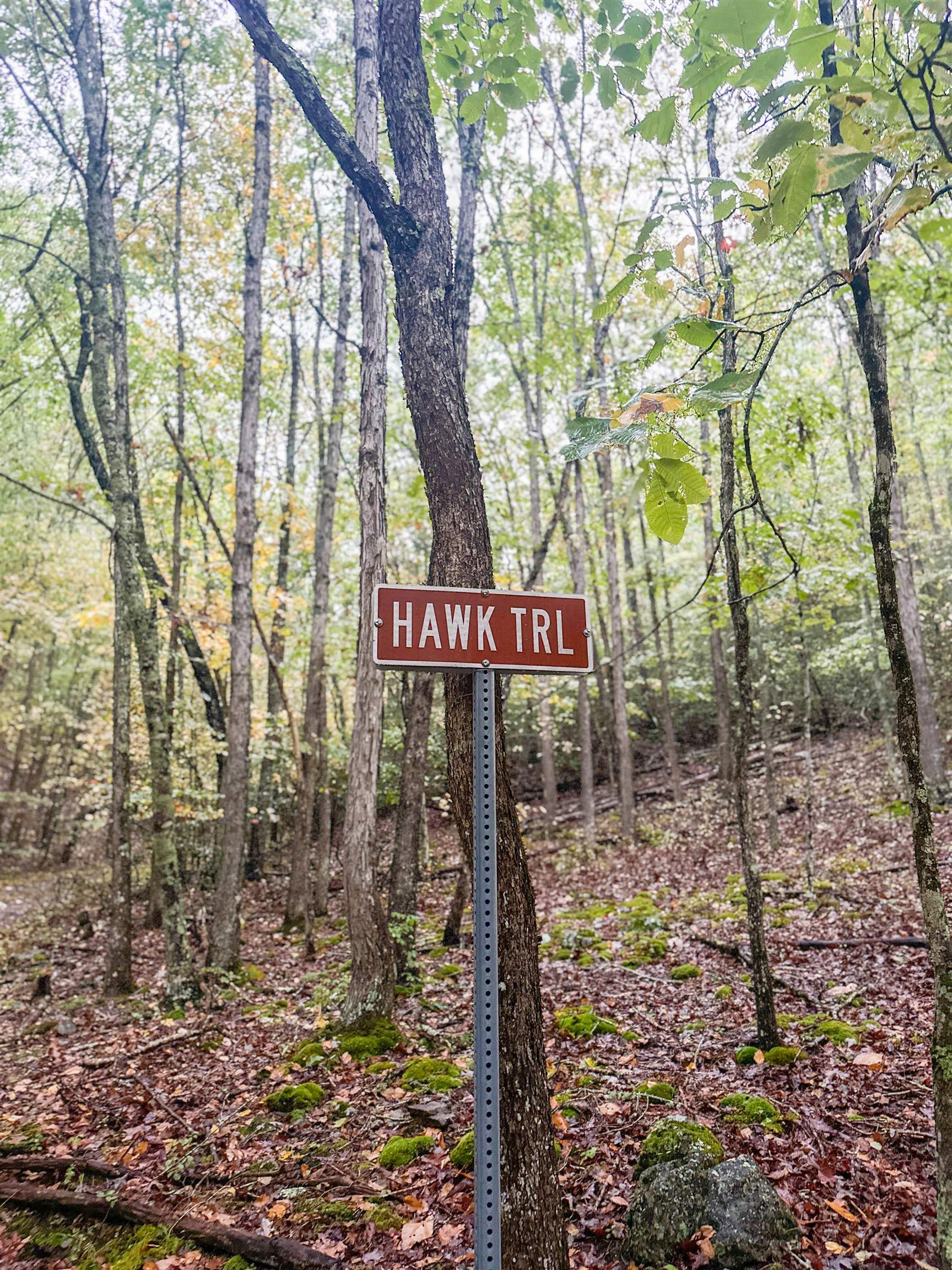 TBD WHIPPOORWILL LN, MONTEREY, Virginia 24465, ,Land,TBD WHIPPOORWILL LN,672142 MLS # 672142 TBD WHIPPOORWILL LN, MONTEREY, Virginia 24465, ,Land,TBD WHIPPOORWILL LN,672142 MLS # 672142