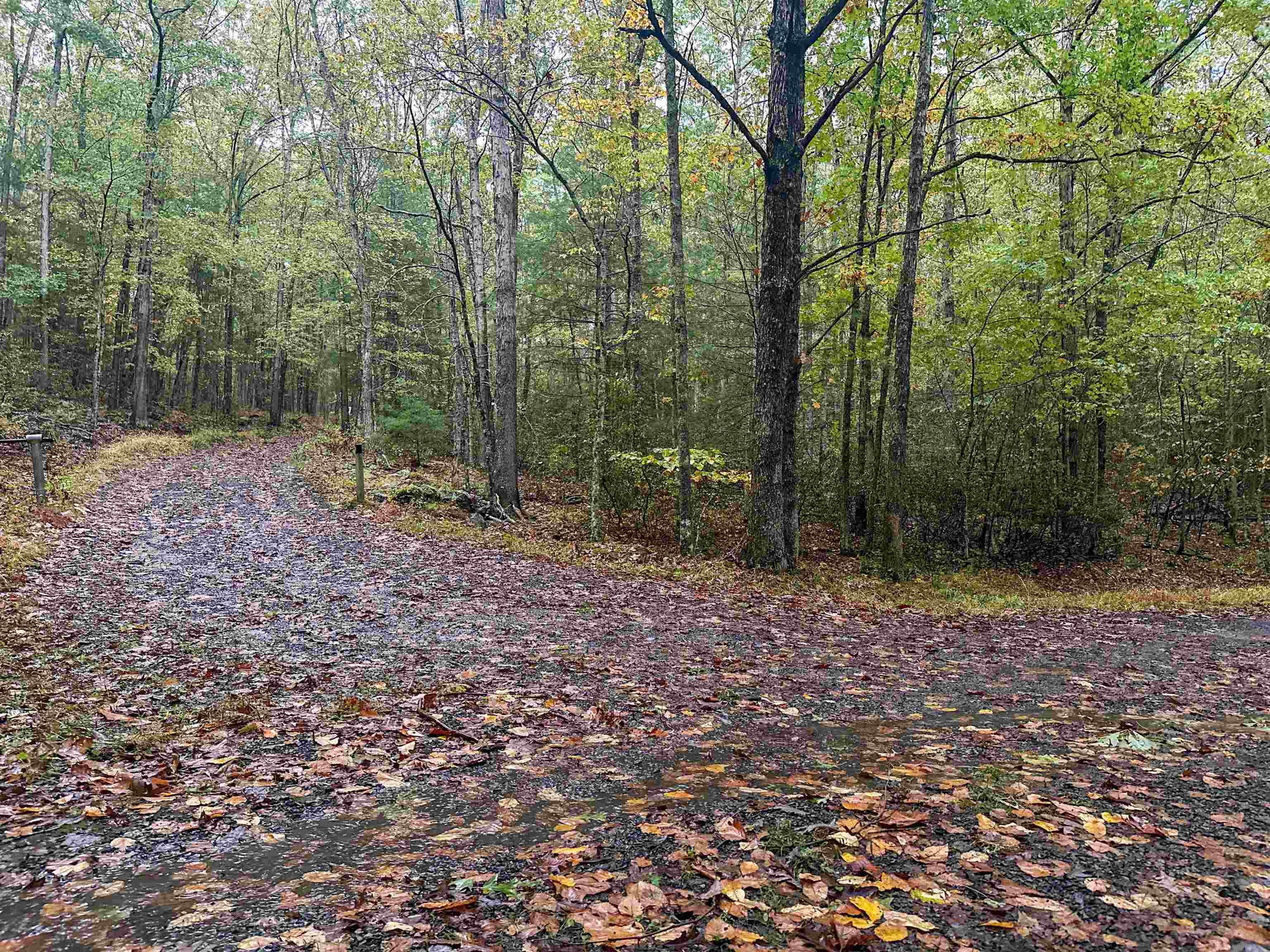 TBD WHIPPOORWILL LN, MONTEREY, Virginia 24465, ,Land,TBD WHIPPOORWILL LN,672142 MLS # 672142 TBD WHIPPOORWILL LN, MONTEREY, Virginia 24465, ,Land,TBD WHIPPOORWILL LN,672142 MLS # 672142