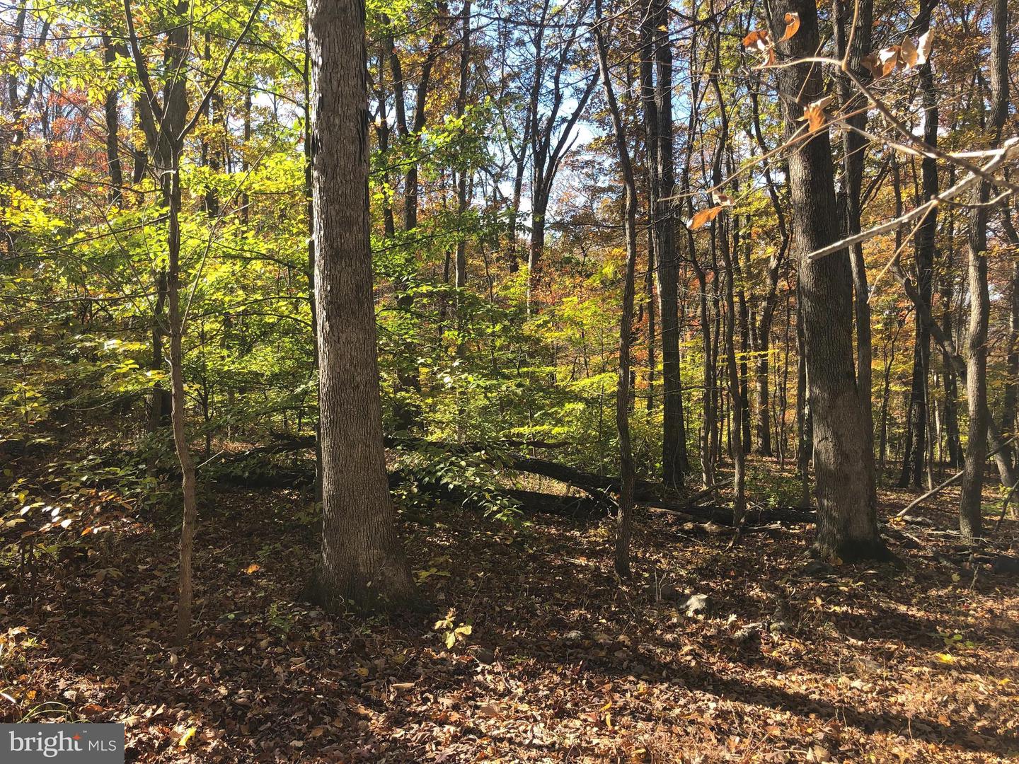 CLIFF LANE, BLUEMONT, Virginia 20135, ,Land,For sale,CLIFF LANE,VACL2006068 MLS # VACL2006068