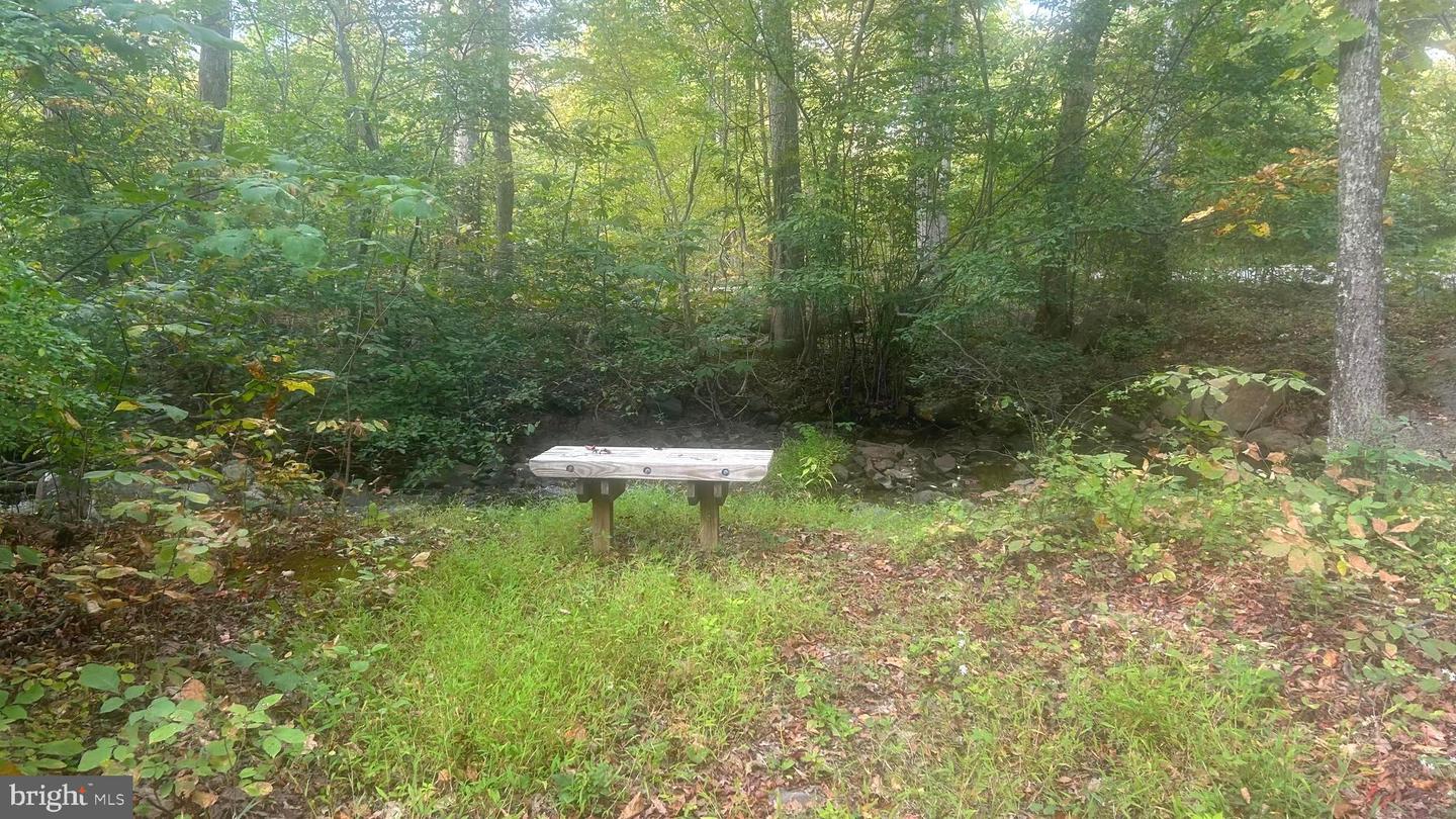 CLIFF LANE, BLUEMONT, Virginia 20135, ,Land,For sale,CLIFF LANE,VACL2006068 MLS # VACL2006068