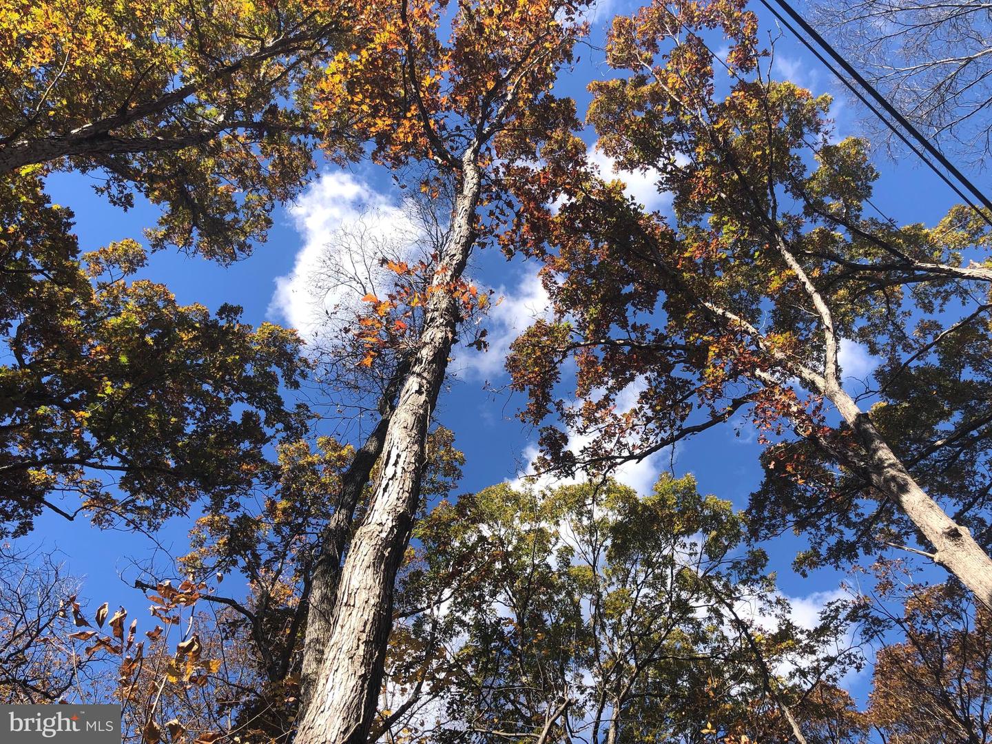 CLIFF LANE, BLUEMONT, Virginia 20135, ,Land,For sale,CLIFF LANE,VACL2006068 MLS # VACL2006068