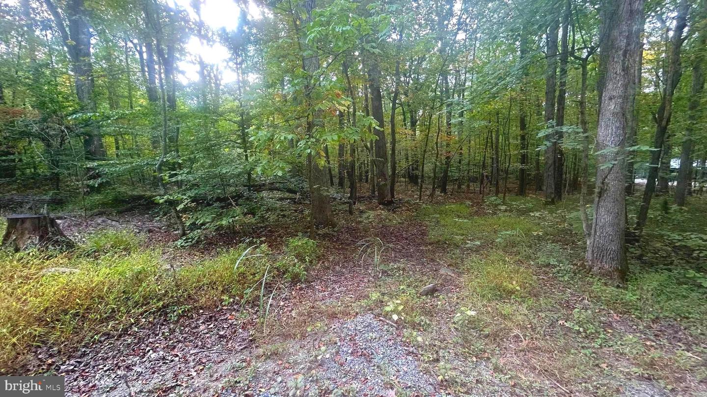 CLIFF LANE, BLUEMONT, Virginia 20135, ,Land,For sale,CLIFF LANE,VACL2006068 MLS # VACL2006068