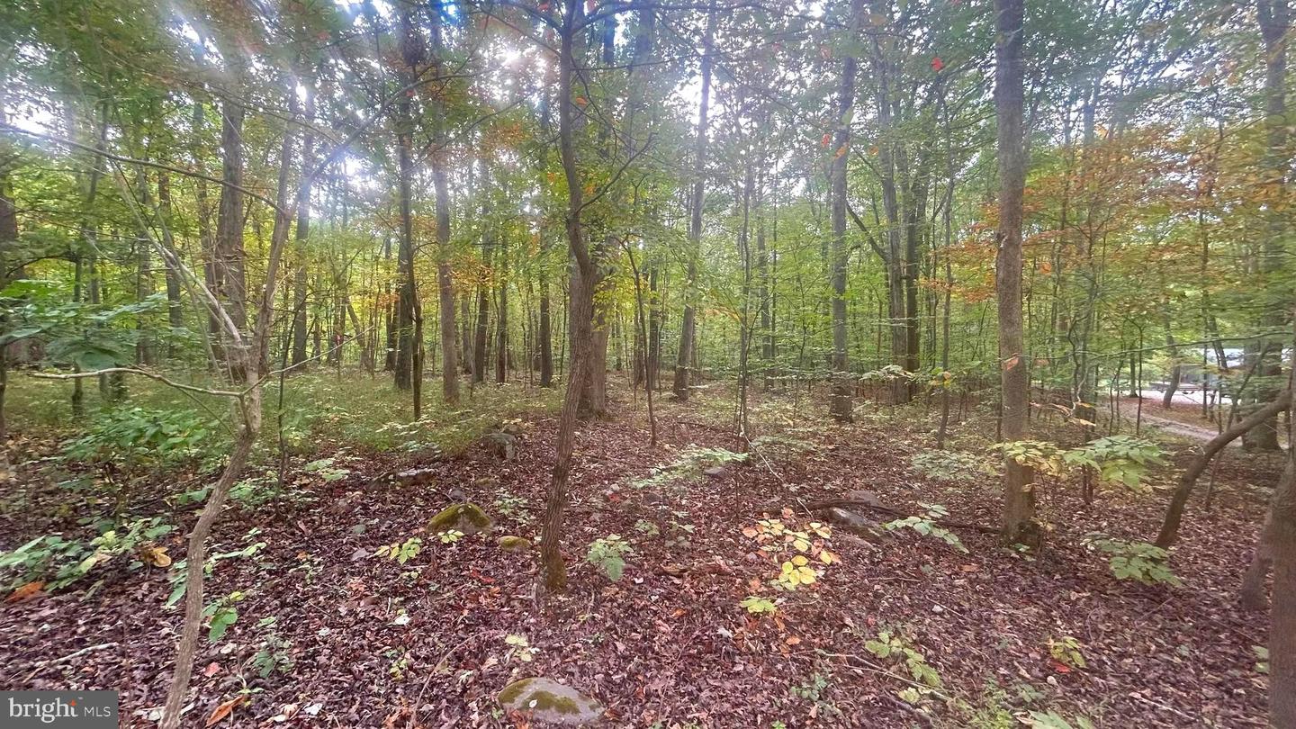 CLIFF LANE, BLUEMONT, Virginia 20135, ,Land,For sale,CLIFF LANE,VACL2006068 MLS # VACL2006068