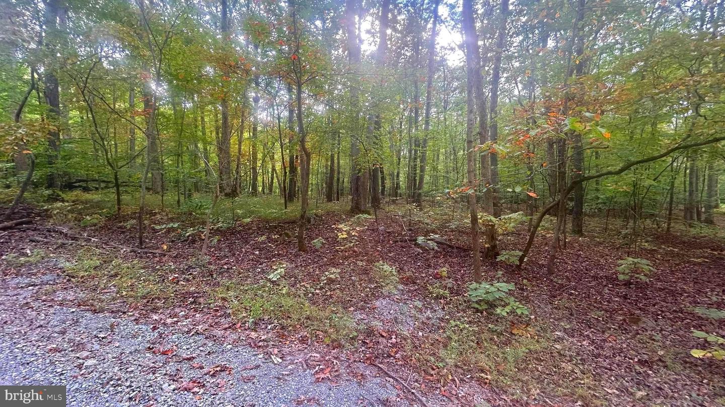 CLIFF LANE, BLUEMONT, Virginia 20135, ,Land,For sale,CLIFF LANE,VACL2006068 MLS # VACL2006068