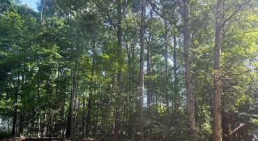 LOT 1996 MAYFLOWER DR, GREENBACKVILLE, Virginia 23356, ,Land,For sale,LOT 1996 MAYFLOWER DR,VAAC2002256 MLS # VAAC2002256