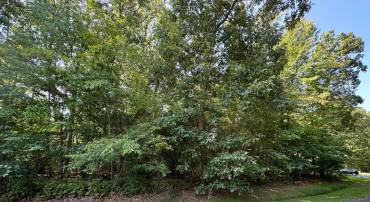 LOT 2067 MAYFLOWER DR, GREENBACKVILLE, Virginia 23356, ,Land,For sale,LOT 2067 MAYFLOWER DR,VAAC2002264 MLS # VAAC2002264