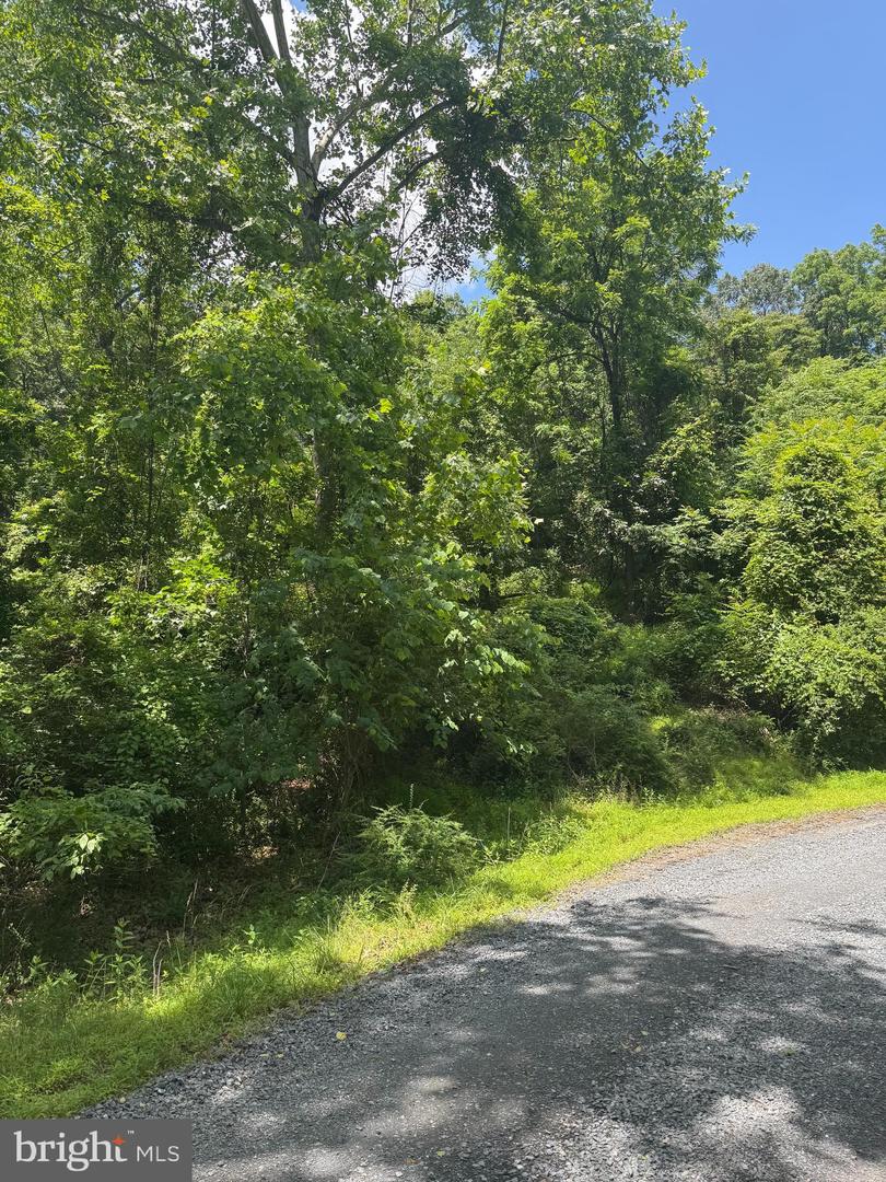 LOT 25 FOREST DRIVE, CROSS JUNCTION, Virginia 22625, ,Land,For sale,LOT 25 FOREST DRIVE,VAFV2038668 MLS # VAFV2038668