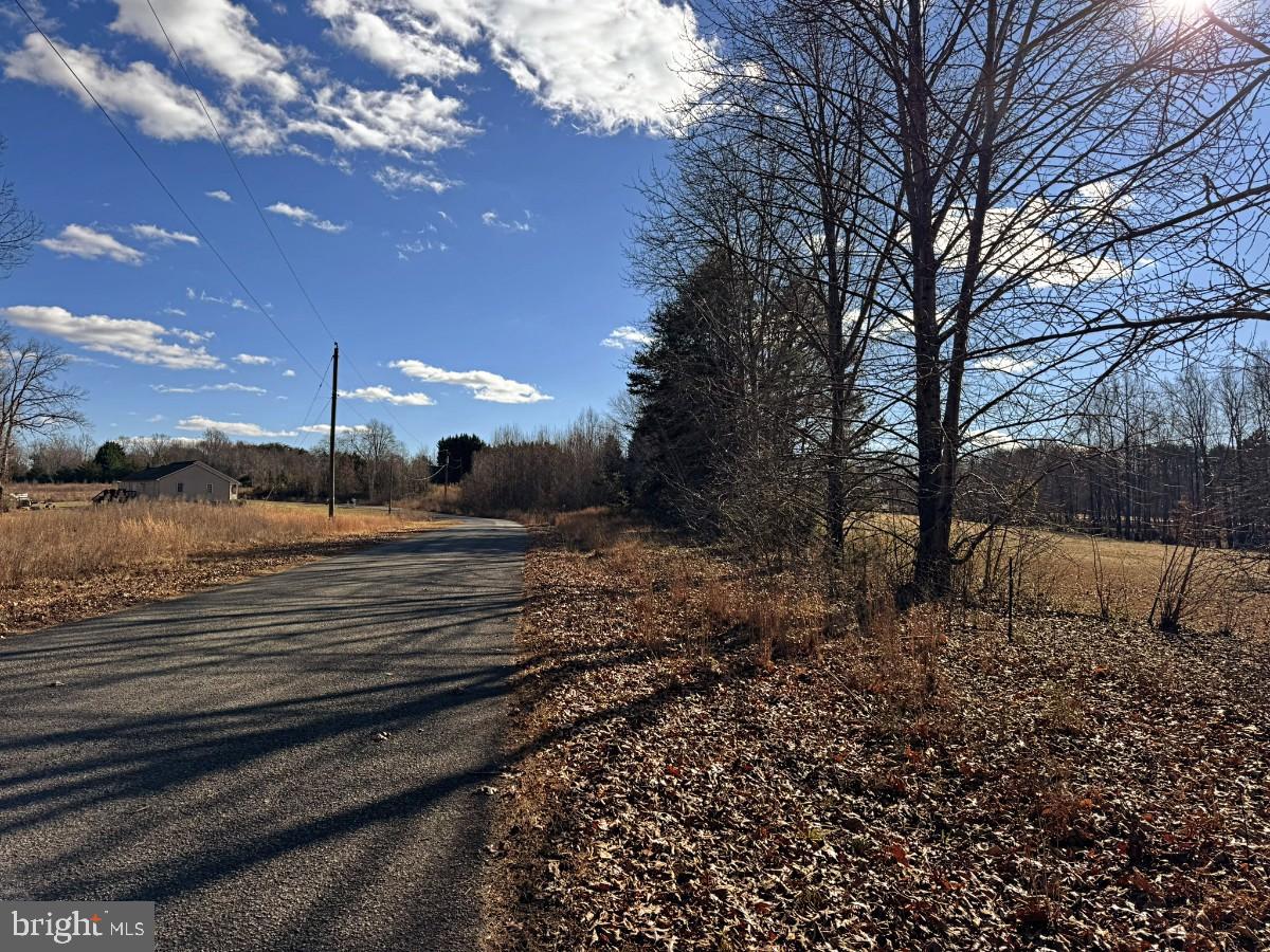 125 SWEDEN FALLS LN, BLAIRS, Virginia 24527, ,Land,For sale,125 SWEDEN FALLS LN,VAPI2000114 MLS # VAPI2000114