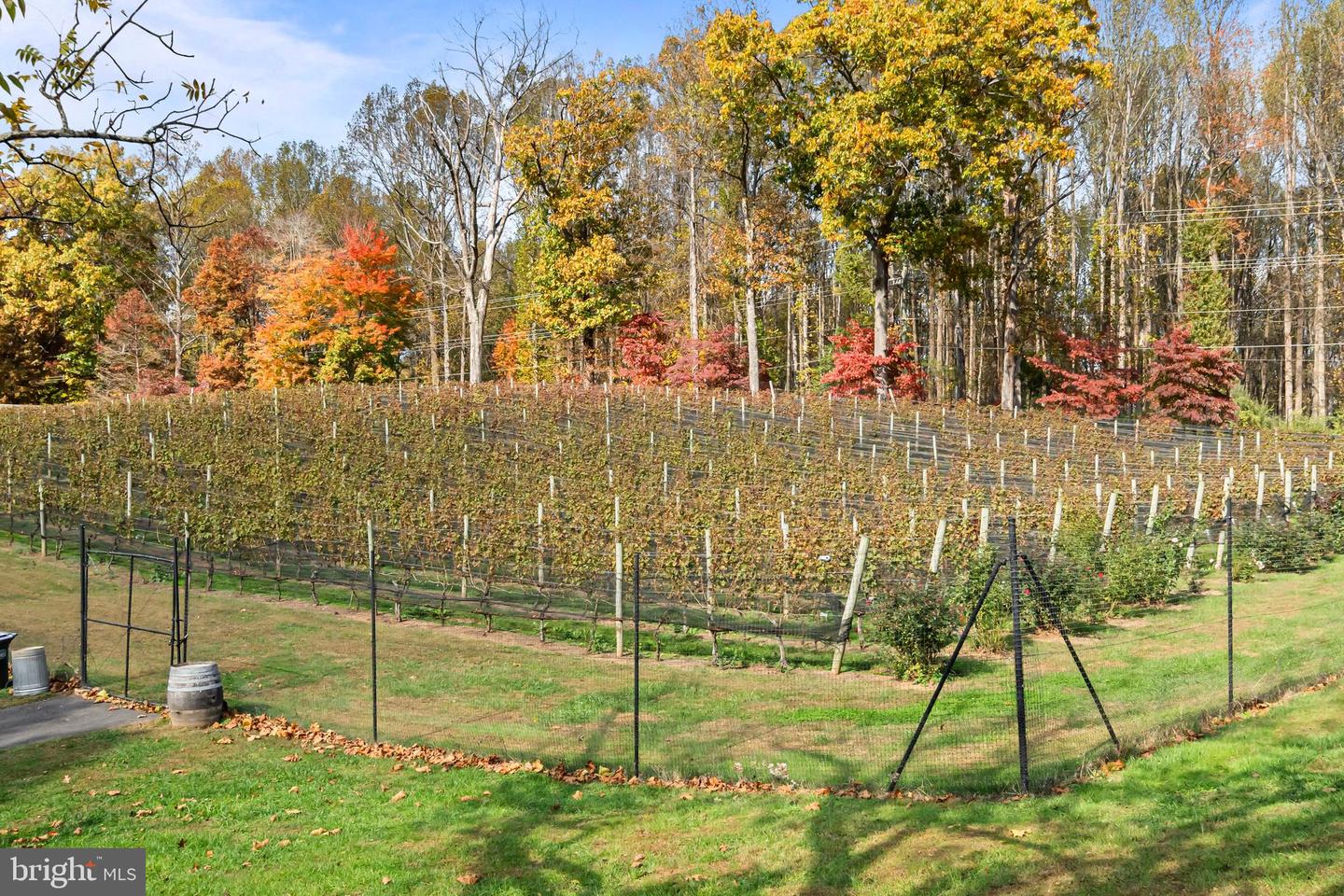 13025 YATES FORD RD, CLIFTON, Virginia 20124, 6 Bedrooms Bedrooms, ,6 BathroomsBathrooms,Residential,For sale,13025 YATES FORD RD,VAFX2269002 MLS # VAFX2269002 13025 YATES FORD RD, CLIFTON, Virginia 20124, 6 Bedrooms Bedrooms, ,6 BathroomsBathrooms,Residential,For sale,13025 YATES FORD RD,VAFX2269002 MLS # VAFX2269002