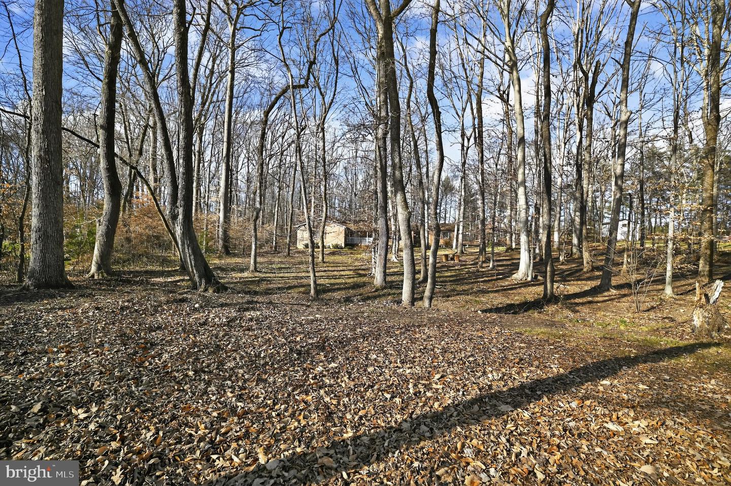 6226 GWENDOLYN DR, MANASSAS, Virginia 20112, 5 Bedrooms Bedrooms, ,3 BathroomsBathrooms,Residential,For sale,6226 GWENDOLYN DR,VAPW2109394 MLS # VAPW2109394