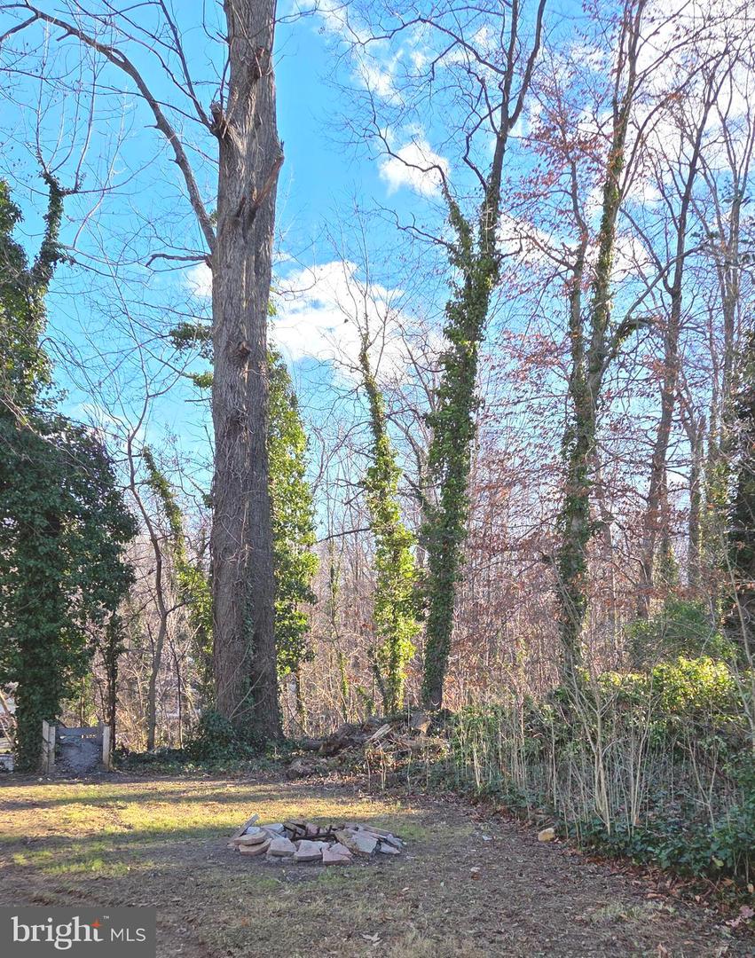 6211 HOUSTON CT, ALEXANDRIA, Virginia 22310, 2 Bedrooms Bedrooms, ,3 BathroomsBathrooms,Residential,For sale,6211 HOUSTON CT,VAFX2283056 MLS # VAFX2283056