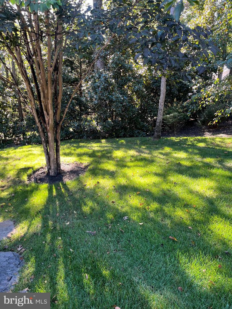 1239 DALEVIEW DR, MCLEAN, Virginia 22102, 5 Bedrooms Bedrooms, ,6 BathroomsBathrooms,Residential,For sale,1239 DALEVIEW DR,VAFX2283404 MLS # VAFX2283404