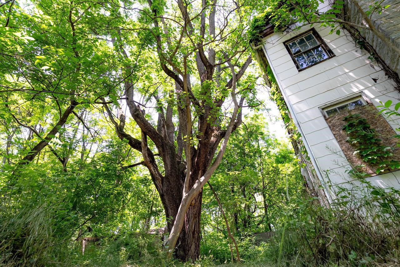 2410 MAUZY ATHLONE RD, BROADWAY, Virginia 22815, ,Land,2410 MAUZY ATHLONE RD,665486 MLS # 665486 2410 MAUZY ATHLONE RD, BROADWAY, Virginia 22815, ,Land,2410 MAUZY ATHLONE RD,665486 MLS # 665486