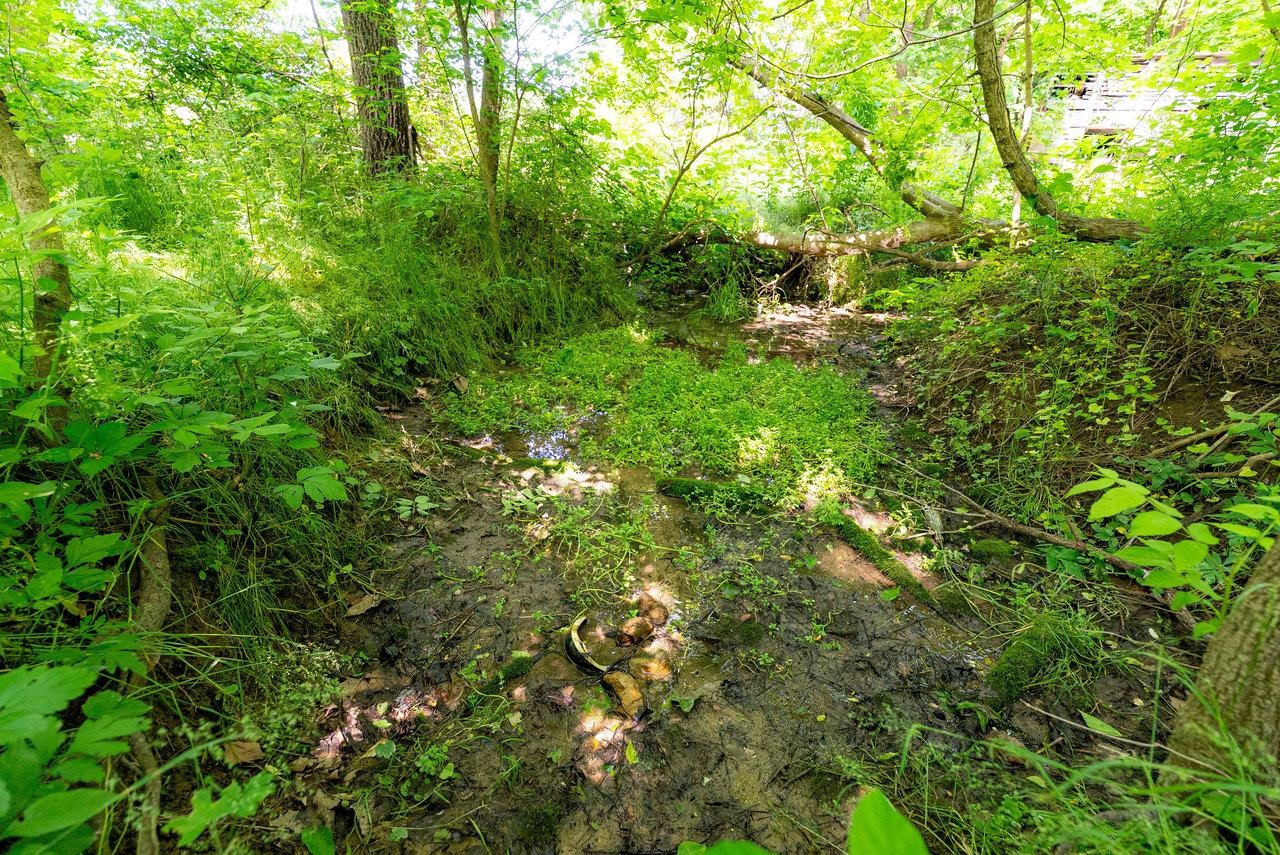 2410 MAUZY ATHLONE RD, BROADWAY, Virginia 22815, ,Land,2410 MAUZY ATHLONE RD,665486 MLS # 665486 2410 MAUZY ATHLONE RD, BROADWAY, Virginia 22815, ,Land,2410 MAUZY ATHLONE RD,665486 MLS # 665486