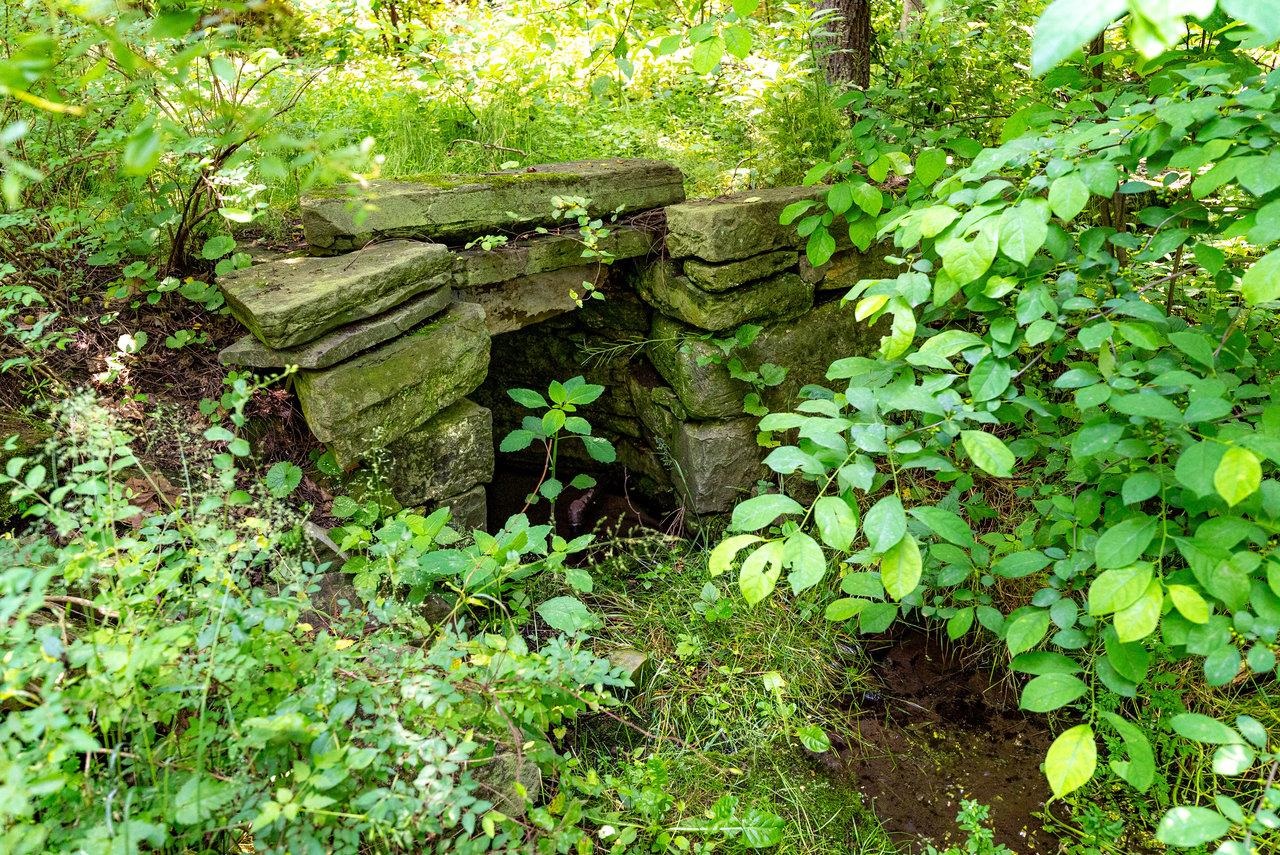 2410 MAUZY ATHLONE RD, BROADWAY, Virginia 22815, ,Land,2410 MAUZY ATHLONE RD,665486 MLS # 665486 2410 MAUZY ATHLONE RD, BROADWAY, Virginia 22815, ,Land,2410 MAUZY ATHLONE RD,665486 MLS # 665486