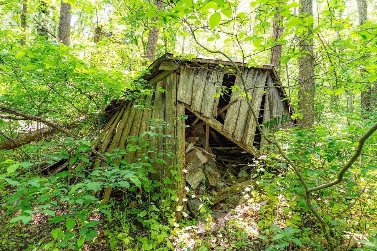 2410 MAUZY ATHLONE RD, BROADWAY, Virginia 22815, ,Land,2410 MAUZY ATHLONE RD,665486 MLS # 665486 2410 MAUZY ATHLONE RD, BROADWAY, Virginia 22815, ,Land,2410 MAUZY ATHLONE RD,665486 MLS # 665486