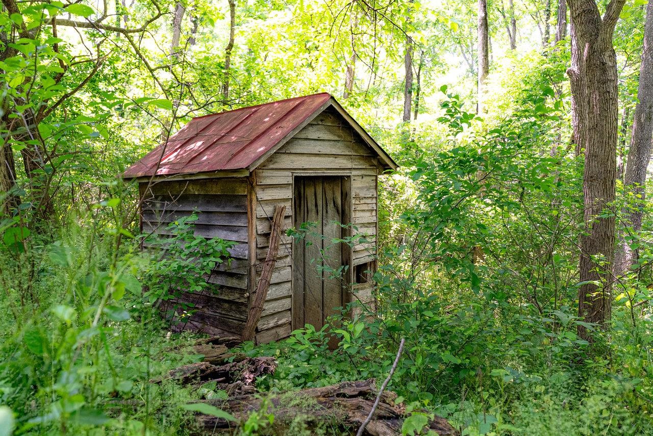 2410 MAUZY ATHLONE RD, BROADWAY, Virginia 22815, ,Land,2410 MAUZY ATHLONE RD,665486 MLS # 665486 2410 MAUZY ATHLONE RD, BROADWAY, Virginia 22815, ,Land,2410 MAUZY ATHLONE RD,665486 MLS # 665486