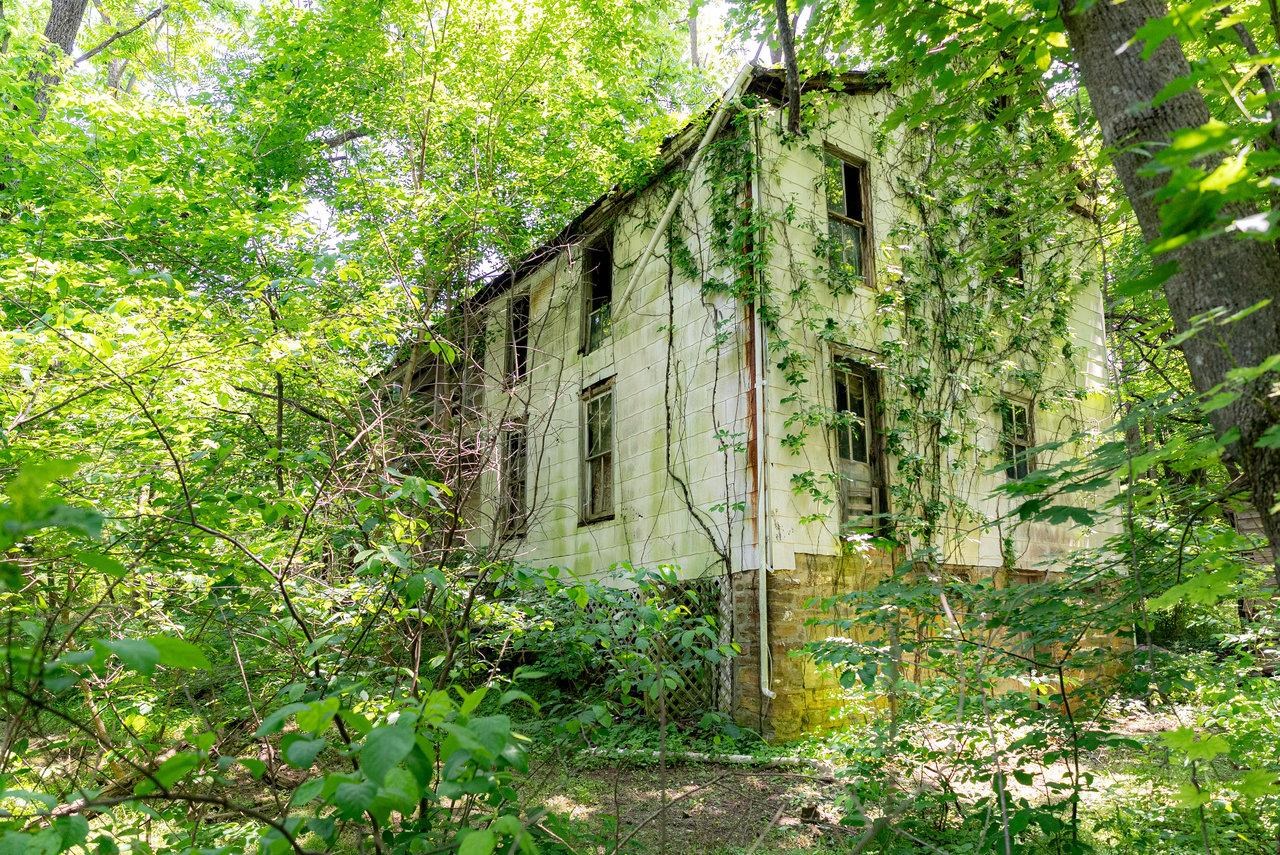 2410 MAUZY ATHLONE RD, BROADWAY, Virginia 22815, ,Land,2410 MAUZY ATHLONE RD,665486 MLS # 665486 2410 MAUZY ATHLONE RD, BROADWAY, Virginia 22815, ,Land,2410 MAUZY ATHLONE RD,665486 MLS # 665486