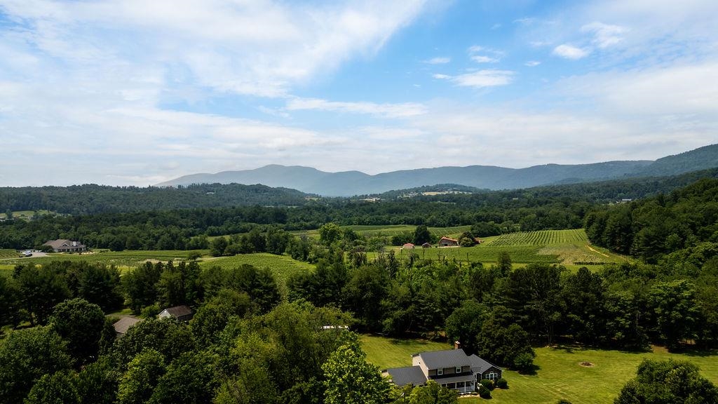 TBD NEWTOWN RD, GREENWOOD, Virginia 22943, ,Land,TBD NEWTOWN RD,665509 MLS # 665509