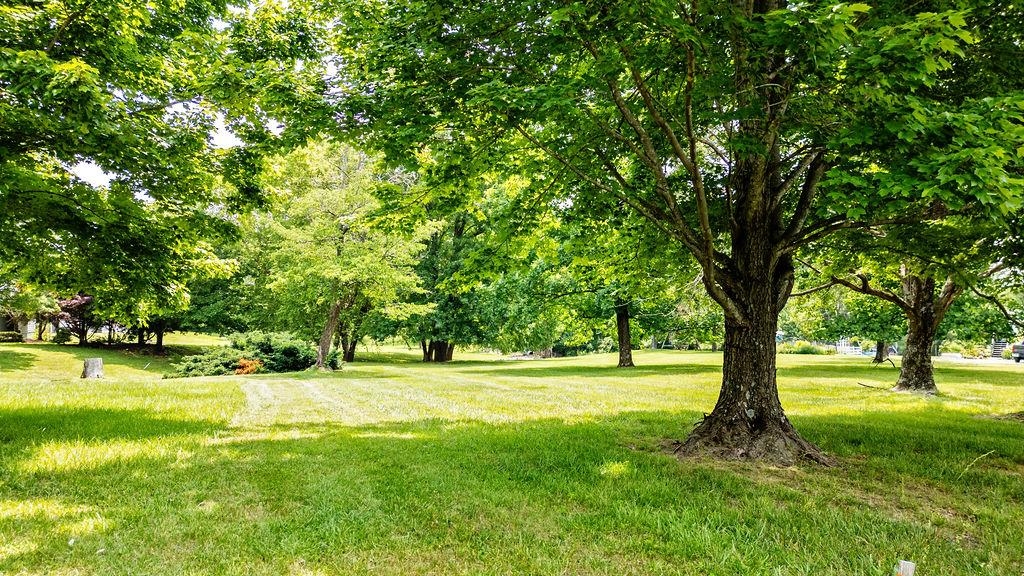 TBD NEWTOWN RD, GREENWOOD, Virginia 22943, ,Land,TBD NEWTOWN RD,665509 MLS # 665509