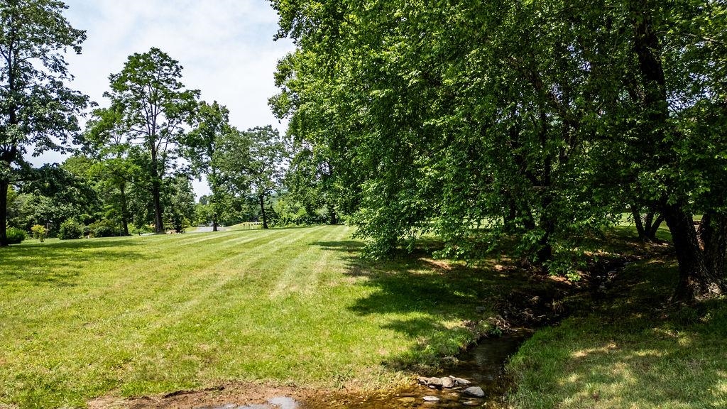 TBD NEWTOWN RD, GREENWOOD, Virginia 22943, ,Land,TBD NEWTOWN RD,665509 MLS # 665509