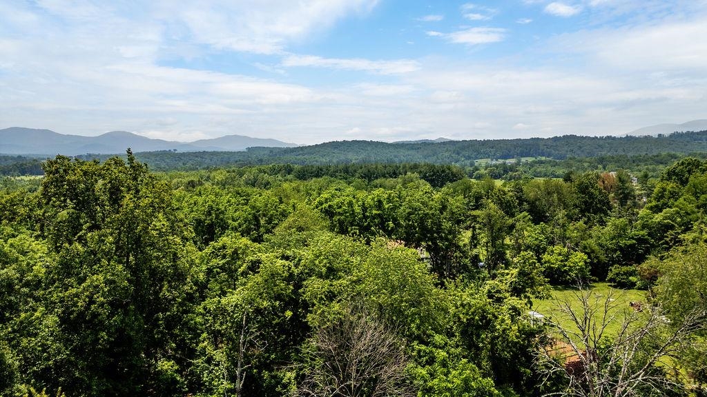 TBD NEWTOWN RD, GREENWOOD, Virginia 22943, ,Land,TBD NEWTOWN RD,665509 MLS # 665509