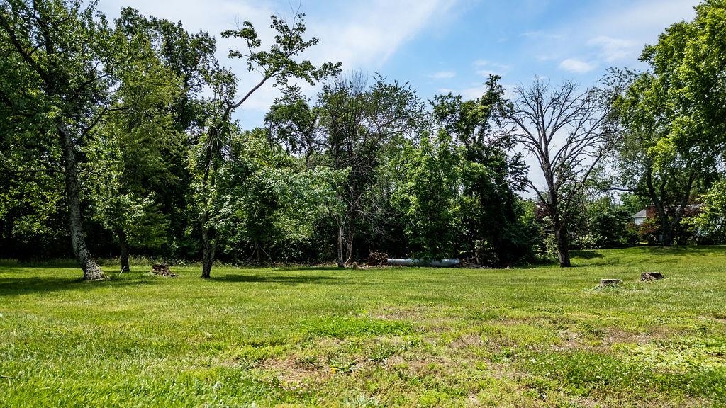 TBD NEWTOWN RD, GREENWOOD, Virginia 22943, ,Land,TBD NEWTOWN RD,665509 MLS # 665509