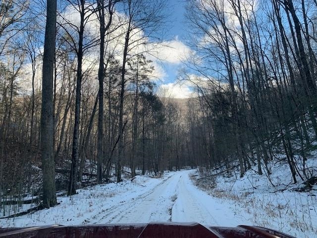 TBD UPPER BACK CREEK RD, MONTEREY, Virginia 24465, ,Farm,Mt. Ararat Farms, LLC,TBD UPPER BACK CREEK RD,672161 MLS # 672161 TBD UPPER BACK CREEK RD, MONTEREY, Virginia 24465, ,Farm,Mt. Ararat Farms, LLC,TBD UPPER BACK CREEK RD,672161 MLS # 672161