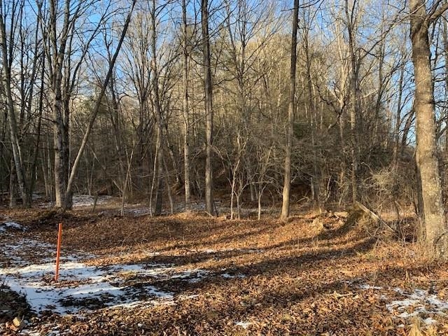 TBD UPPER BACK CREEK RD, MONTEREY, Virginia 24465, ,Farm,Mt. Ararat Farms, LLC,TBD UPPER BACK CREEK RD,672161 MLS # 672161 TBD UPPER BACK CREEK RD, MONTEREY, Virginia 24465, ,Farm,Mt. Ararat Farms, LLC,TBD UPPER BACK CREEK RD,672161 MLS # 672161