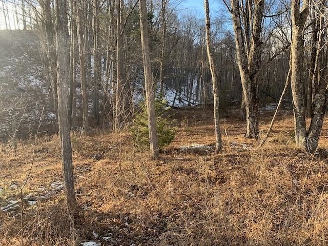 TBD UPPER BACK CREEK RD, MONTEREY, Virginia 24465, ,Farm,Mt. Ararat Farms, LLC,TBD UPPER BACK CREEK RD,672161 MLS # 672161 TBD UPPER BACK CREEK RD, MONTEREY, Virginia 24465, ,Farm,Mt. Ararat Farms, LLC,TBD UPPER BACK CREEK RD,672161 MLS # 672161