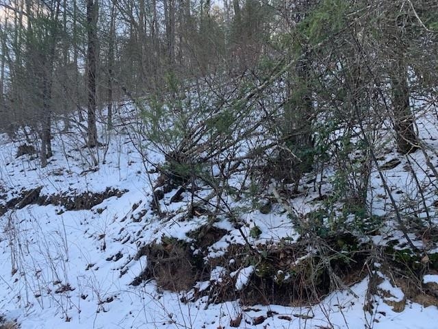 TBD UPPER BACK CREEK RD, MONTEREY, Virginia 24465, ,Farm,Mt. Ararat Farms, LLC,TBD UPPER BACK CREEK RD,672161 MLS # 672161 TBD UPPER BACK CREEK RD, MONTEREY, Virginia 24465, ,Farm,Mt. Ararat Farms, LLC,TBD UPPER BACK CREEK RD,672161 MLS # 672161