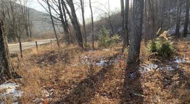 TBD UPPER BACK CREEK RD, MONTEREY, Virginia 24465, ,Farm,Mt. Ararat Farms, LLC,TBD UPPER BACK CREEK RD,672161 MLS # 672161