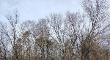 381 REDWOOD DR, RILEYVILLE, Virginia 22650, ,Land,For sale,381 REDWOOD DR,VAPA2005782 MLS # VAPA2005782