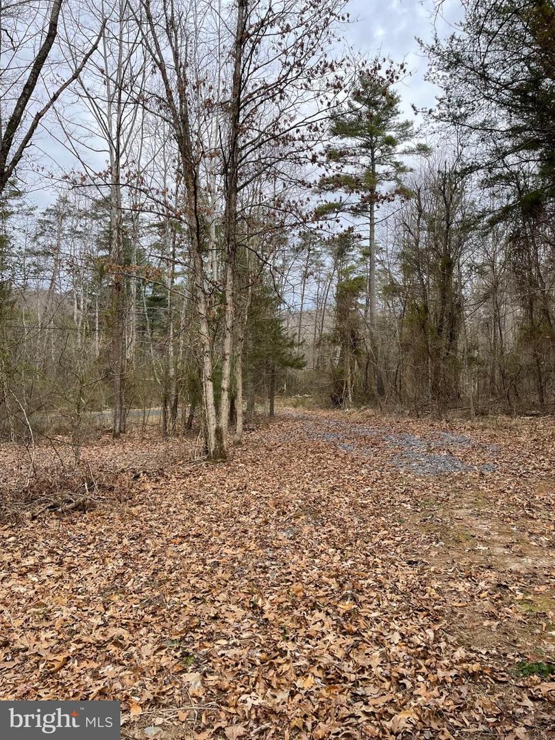 ESTALINE VALLEY RD, CRAIGSVILLE, Virginia 24430, ,Land,For sale,ESTALINE VALLEY RD,VAAG2002724 MLS # VAAG2002724 ESTALINE VALLEY RD, CRAIGSVILLE, Virginia 24430, ,Land,For sale,ESTALINE VALLEY RD,VAAG2002724 MLS # VAAG2002724