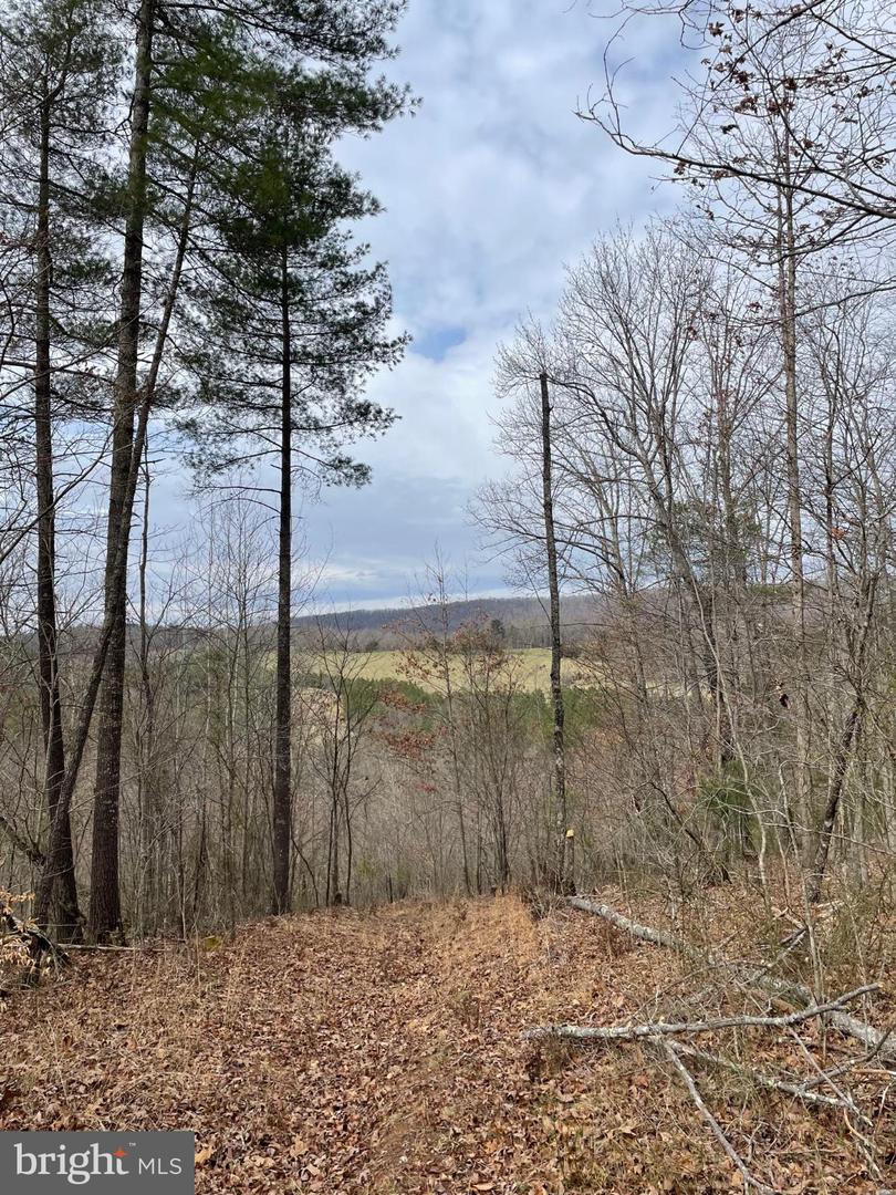 ESTALINE VALLEY RD, CRAIGSVILLE, Virginia 24430, ,Land,For sale,ESTALINE VALLEY RD,VAAG2002724 MLS # VAAG2002724 ESTALINE VALLEY RD, CRAIGSVILLE, Virginia 24430, ,Land,For sale,ESTALINE VALLEY RD,VAAG2002724 MLS # VAAG2002724
