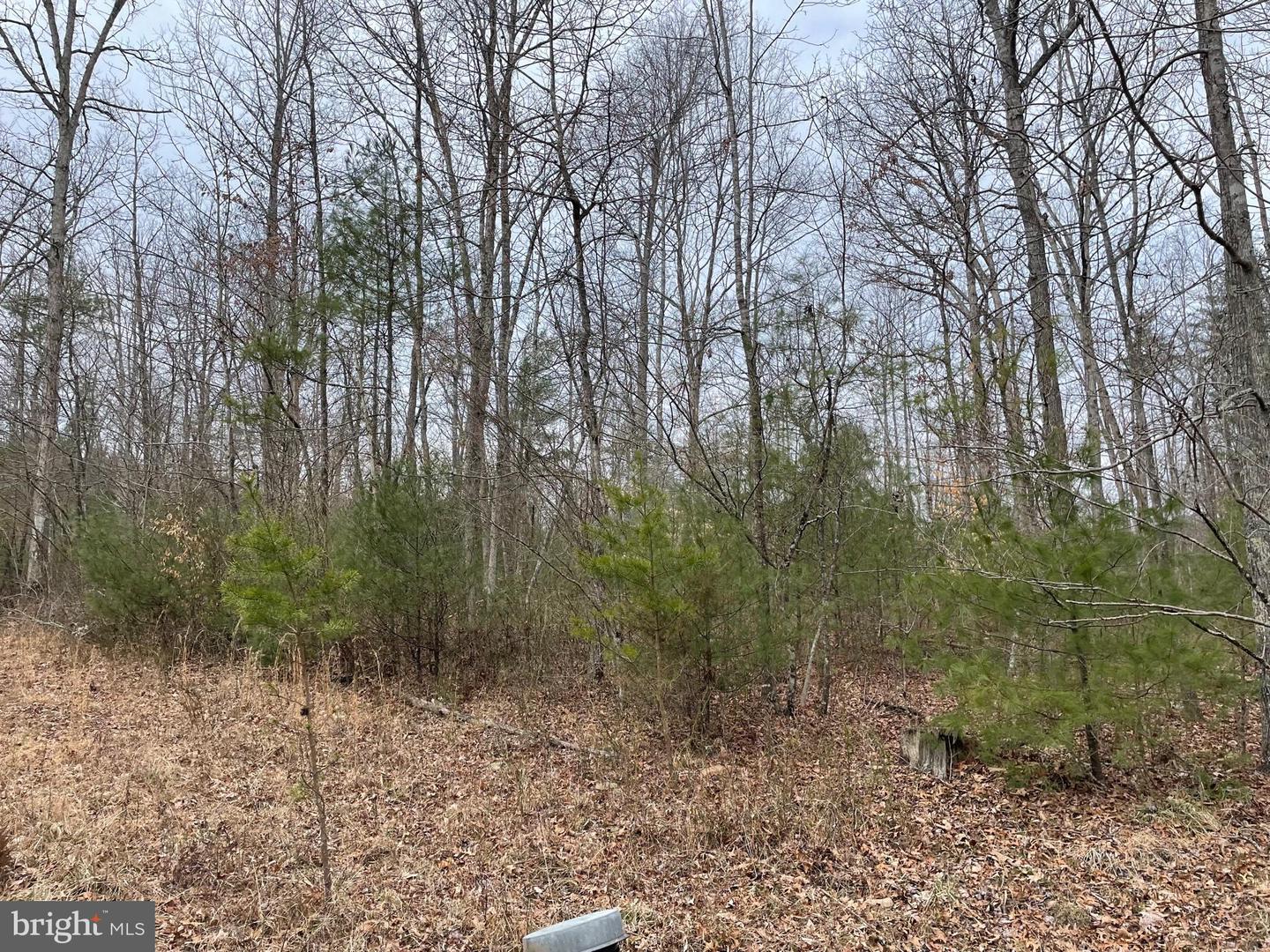 ESTALINE VALLEY RD, CRAIGSVILLE, Virginia 24430, ,Land,For sale,ESTALINE VALLEY RD,VAAG2002724 MLS # VAAG2002724 ESTALINE VALLEY RD, CRAIGSVILLE, Virginia 24430, ,Land,For sale,ESTALINE VALLEY RD,VAAG2002724 MLS # VAAG2002724