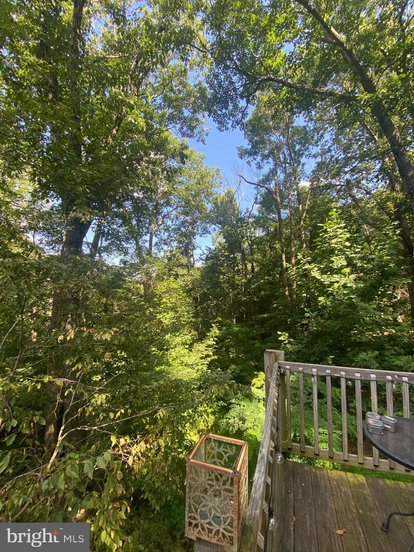 568 CLIFF HEIGHTS RD, STANLEY, Virginia 22851, 1 Bedroom Bedrooms, 4 Rooms Rooms,1 BathroomBathrooms,Residential,For sale,568 CLIFF HEIGHTS RD,VAPA2005258 MLS # VAPA2005258