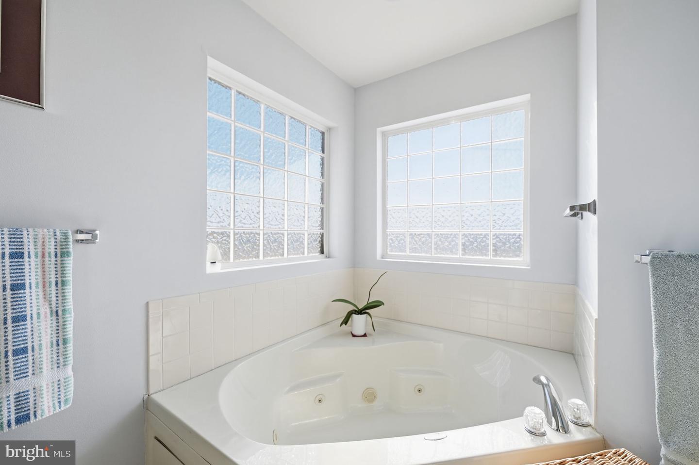 18141 YOUNGS LN, ELKWOOD, Virginia 22718, 4 Bedrooms Bedrooms, ,2 BathroomsBathrooms,Residential,For sale,18141 YOUNGS LN,VACU2012298 MLS # VACU2012298