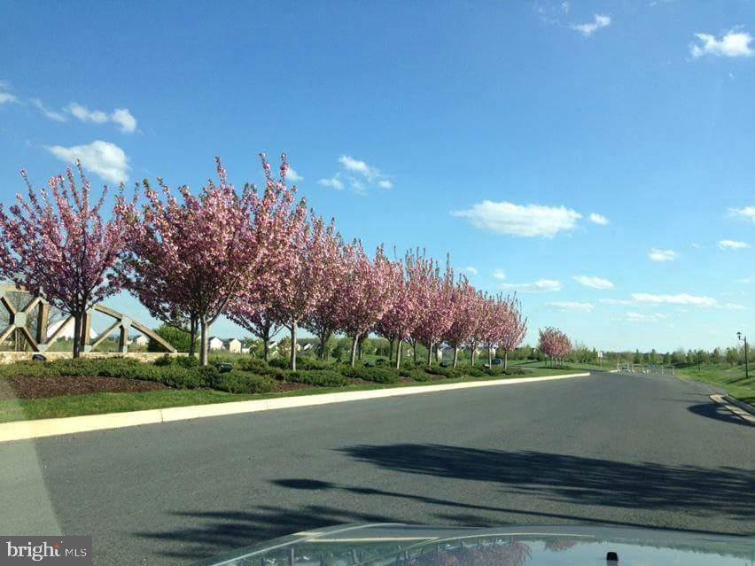 122 BUCCANEER CT, STEPHENSON, Virginia 22656, 3 Bedrooms Bedrooms, 15 Rooms Rooms,2 BathroomsBathrooms,Residential,For sale,122 BUCCANEER CT,VAFV2038664 MLS # VAFV2038664