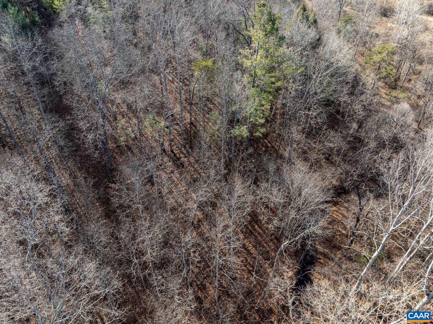 3.94 AC PEACE AND QUIET CIR, REVA, Virginia 22735, ,Land,For sale,3.94 AC PEACE AND QUIET CIR,672167 MLS # 672167