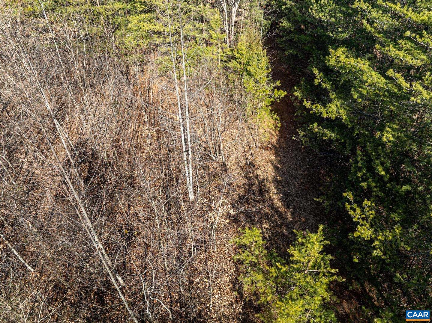 3.94 AC PEACE AND QUIET CIR, REVA, Virginia 22735, ,Land,For sale,3.94 AC PEACE AND QUIET CIR,672167 MLS # 672167