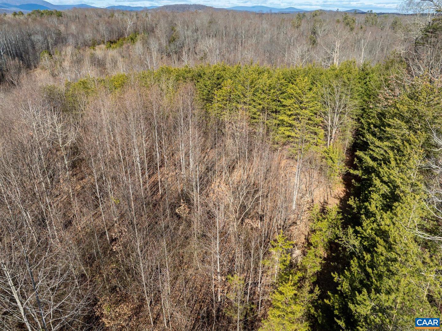 3.94 AC PEACE AND QUIET CIR, REVA, Virginia 22735, ,Land,For sale,3.94 AC PEACE AND QUIET CIR,672167 MLS # 672167